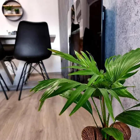 Jelonek W Karkonoszach