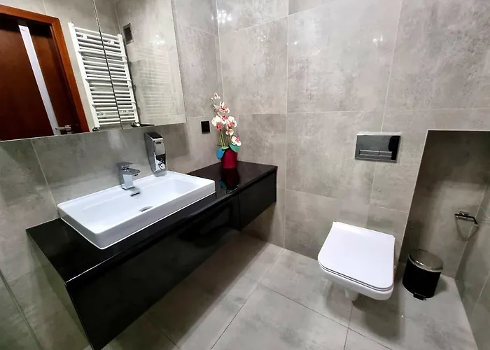 Jelonek W Karkonoszach 耶莱尼亚古拉