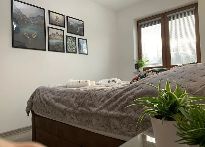 Jelonek W Karkonoszach Apartamento *