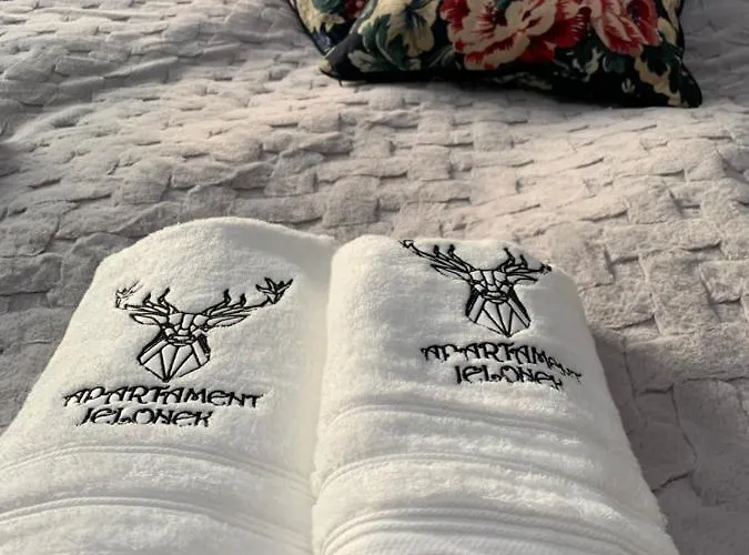 公寓 Jelonek W Karkonoszach 耶莱尼亚古拉